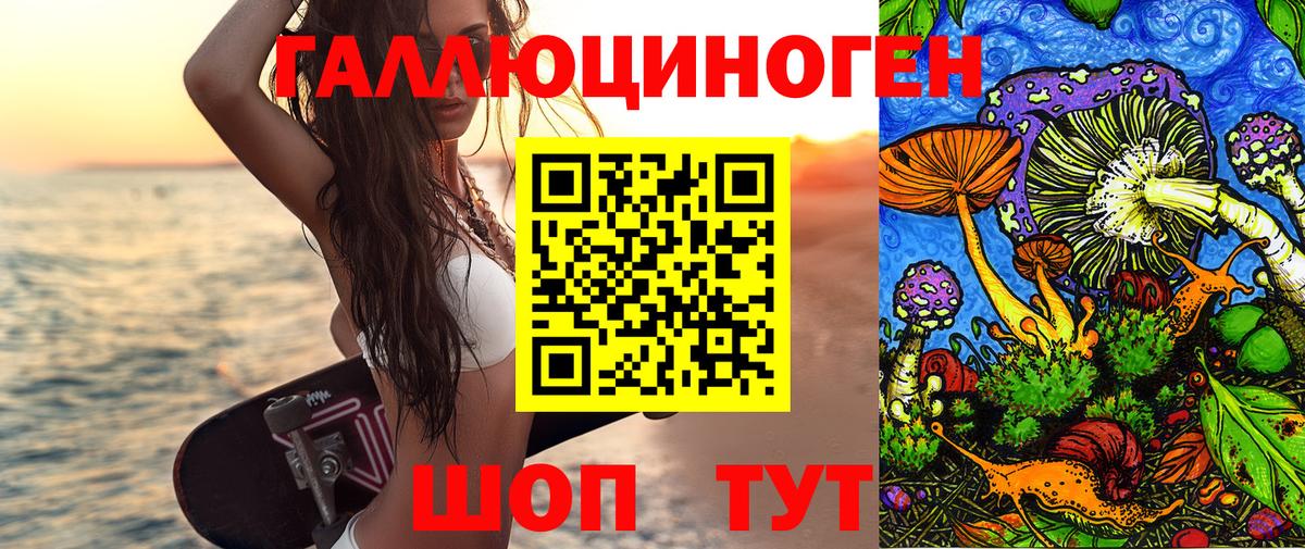 Псилоцибиновые грибы Psilocybe Кудрово