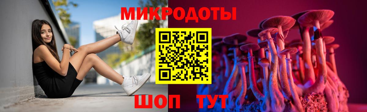 Псилоцибиновые грибы GOLDEN TEACHER  Псилоцибиновые грибы Psilocybine cubensis  Кудрово  Вход с VPN 
